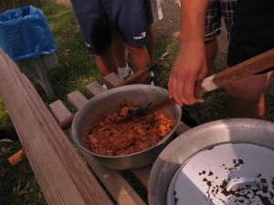 2010 0292