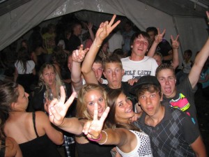 2010 0294