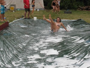 2010 0498
