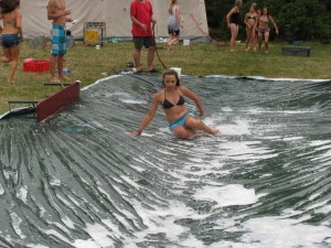 2010 0499