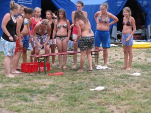 2010 0533