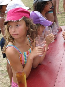 2010 0558