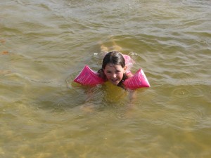 2010 0690