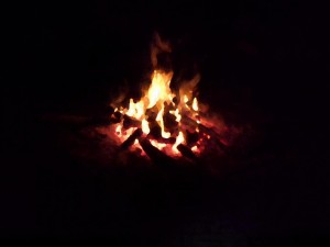 2013 (0582)_